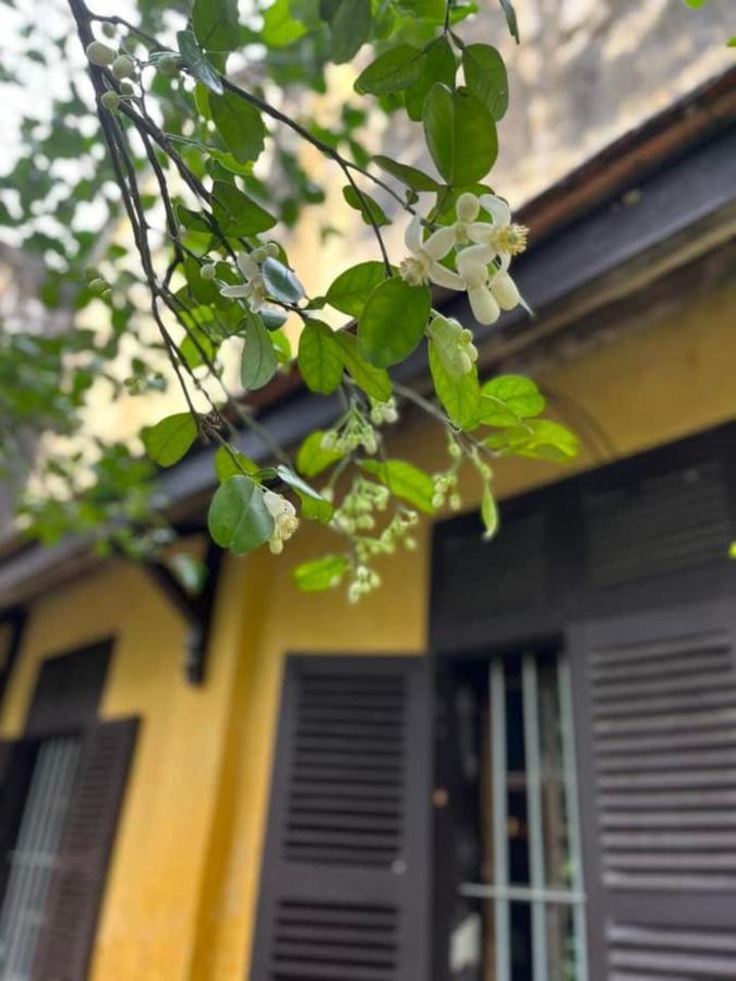 Ciel Homestay Hue Esterno foto